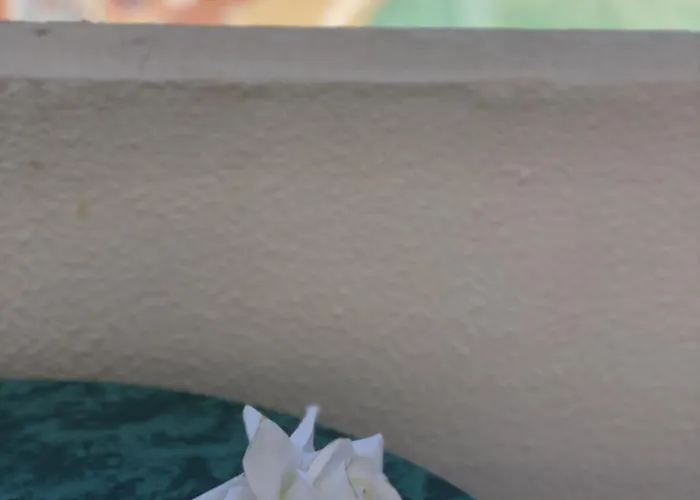 Amazing Complex Pool View & Relax Appartement Costa Adeje (Tenerife)