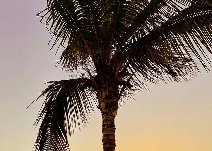 Amazing Complex Pool View & Relax Appartement *