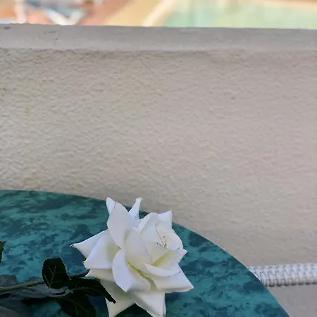 Amazing Complex Pool View & Relax Апартаменти