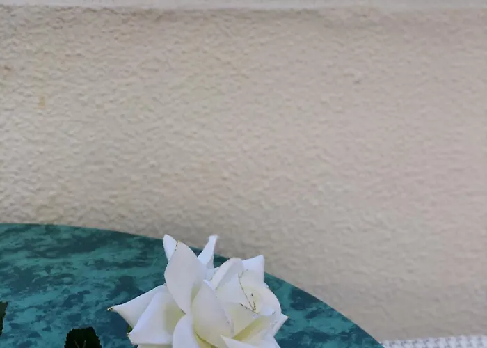 Amazing Complex Pool View & Relax Appartement