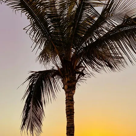 Amazing Complex Pool View & Relax 아파트 *